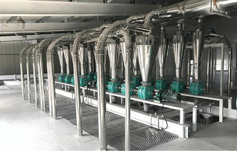 50 tpd maize grinding milling plant